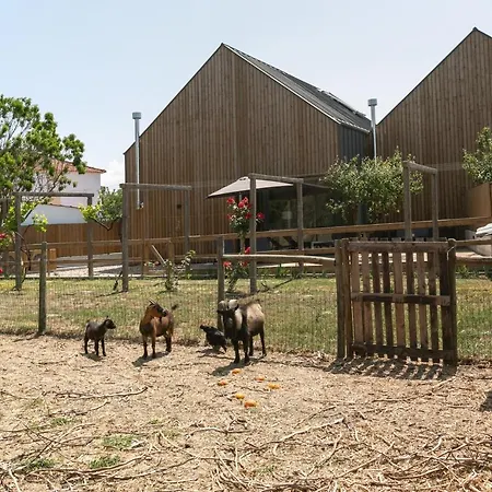 فيلة Arneiro Ii *